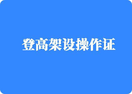 狂操大骚逼免费视频登高架设操作证